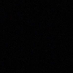 Meet your Posher, Terrance